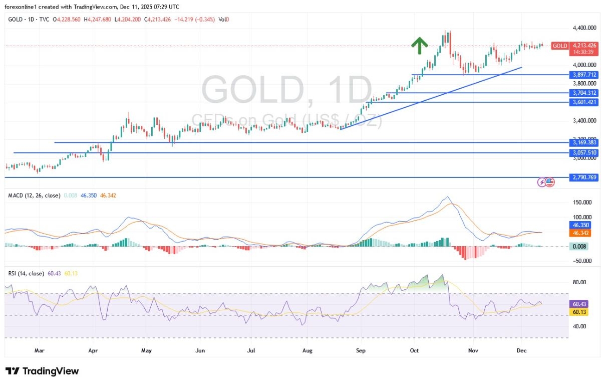 【XM Market Review】--Gold Analysis: Performance Stabilizes After Signals from the US Federal Reserve(图1) 【XM Market Review】--Gold Analysis: Performance Stabilizes After Signals from the US Federal Reserve(图1)